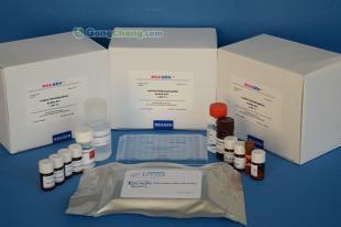 供應(yīng)呋喃妥因ELISA檢測(cè)試劑盒 精細(xì)化學(xué)品領(lǐng)域的精準(zhǔn)檢測(cè)利器