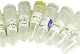 苊化學試劑的特性、應用與安全操作指南